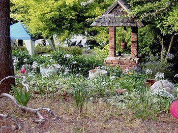 Bed and breakfast Robin's Nest 3*
